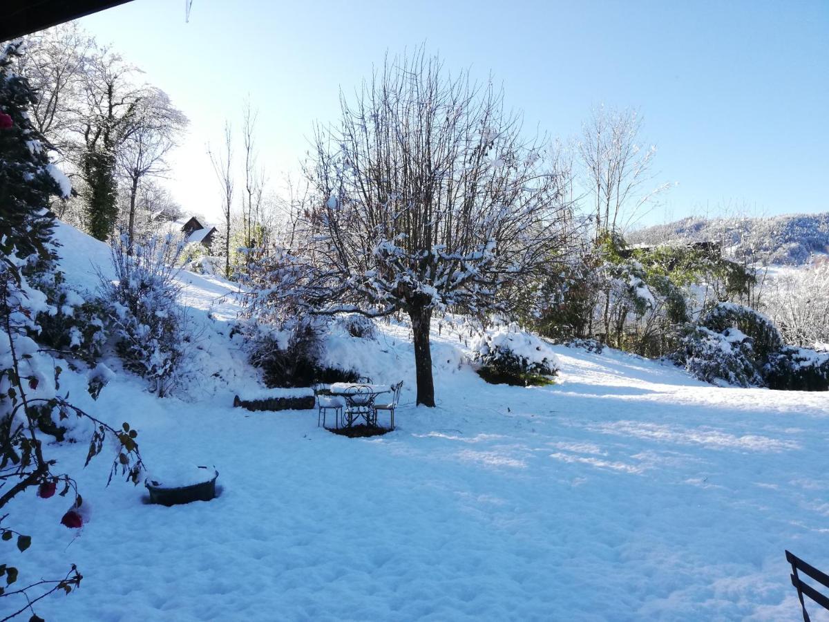 Bed and Breakfast Eco-Logis Mad'In Belledonne Theys Exteriér fotografie